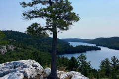 Nellie Lake Lookout